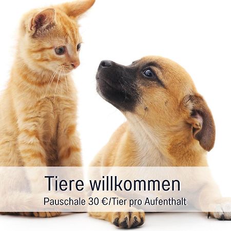 Rosmarin - Kuschelige Fewo - Romantik & Entspannung Im Whirlpool Auf Privater Terrasse, Ruhe & Hund Willkommen - By Ferienwohnenamsee - Uberlingen Luaran gambar