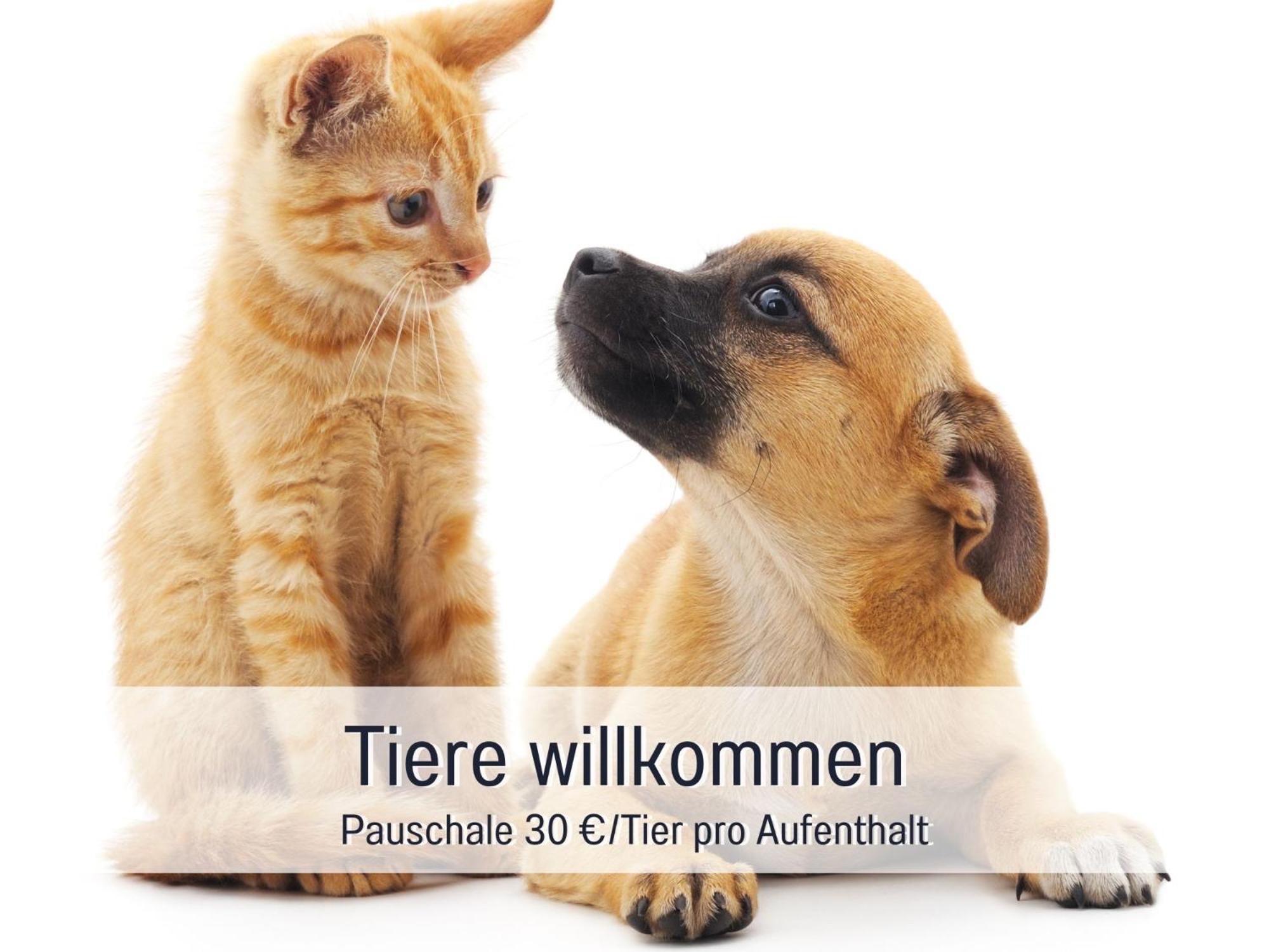Rosmarin - Kuschelige Fewo - Romantik & Entspannung Im Whirlpool Auf Privater Terrasse, Ruhe & Hund Willkommen - By Ferienwohnenamsee - Uberlingen Luaran gambar